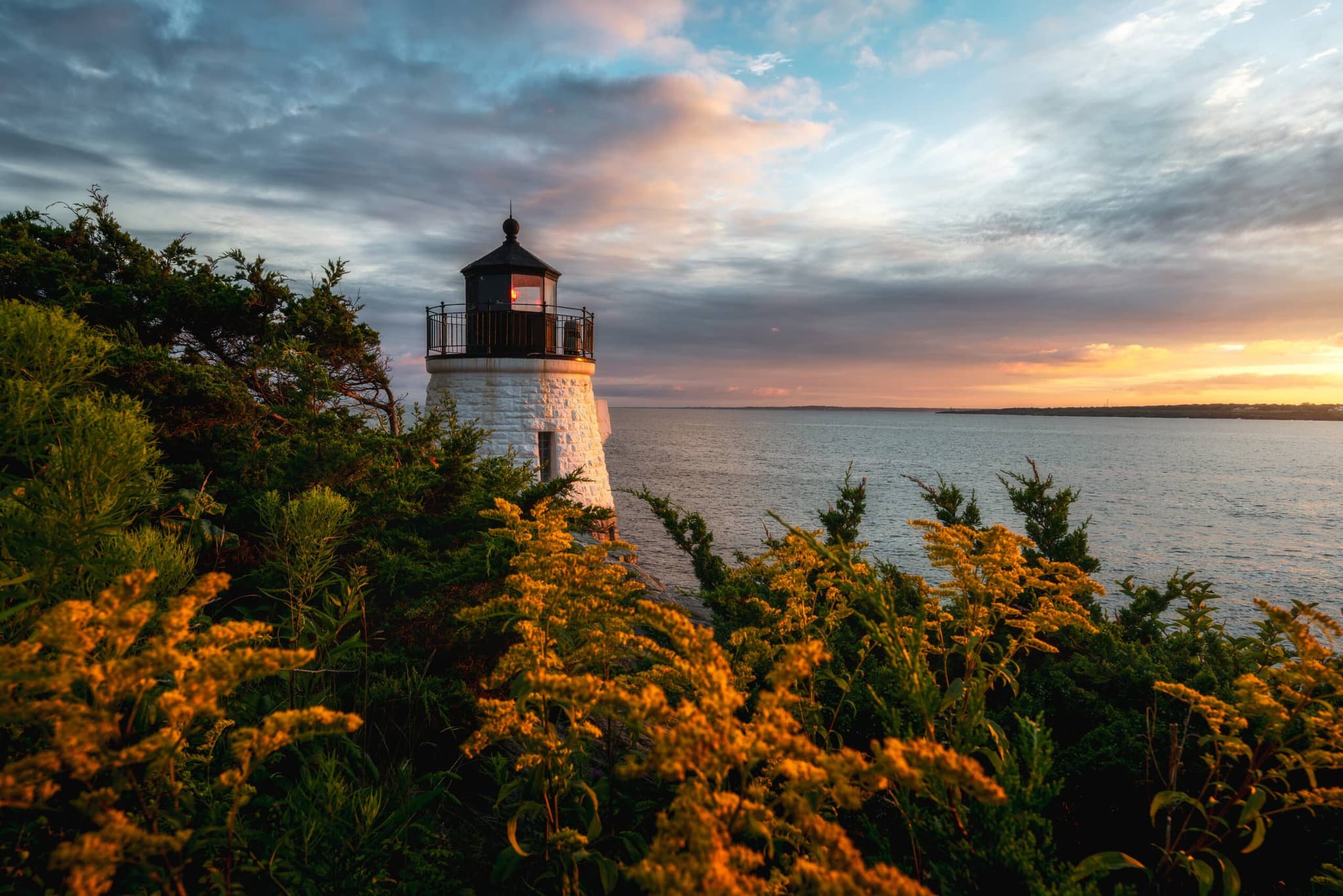 Castle Hill Lighthouse framed by summer flowers in golden light