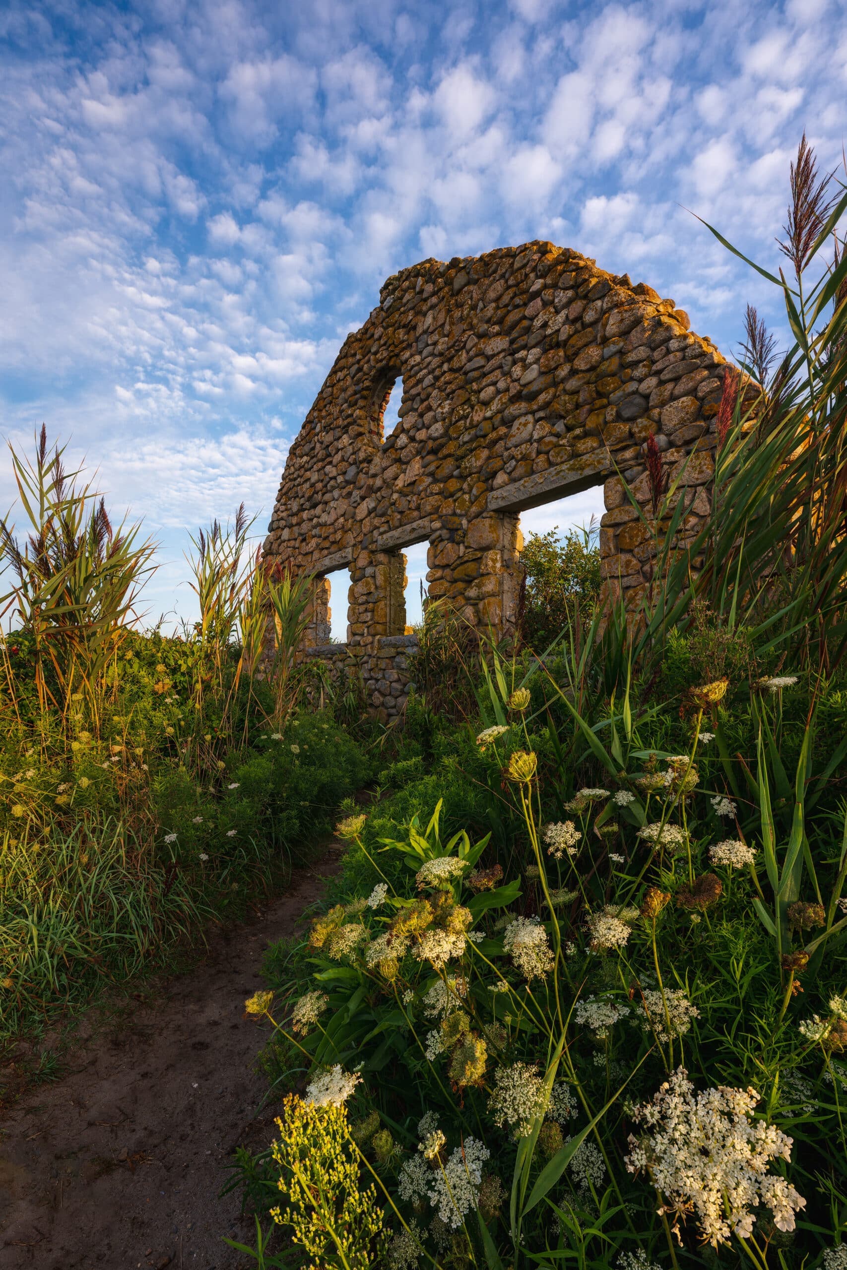 Ruins of the Windswept Estate among summer flowers